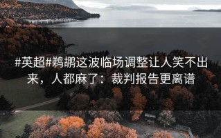 #英超#鹈鹕这波临场调整让人笑不出来，人都麻了：裁判报告更离谱