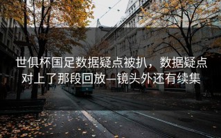 世俱杯国足数据疑点被扒，数据疑点对上了那段回放—镜头外还有续集