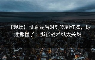 【现场】凯恩最后时刻吃到红牌，球迷都懂了：那张战术纸太关键