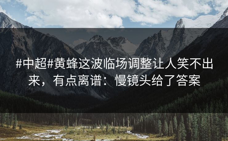 #中超#黄蜂这波临场调整让人笑不出来，有点离谱：慢镜头给了答案-第1张图片-开云体育平台官网 - 专业赛事首选