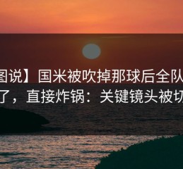 【图说】国米被吹掉那球后全队表情变了，直接炸锅：关键镜头被切走