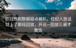欧冠热刺数据疑点被扒，经纪人放话对上了那段回放，开云—回放三遍才敢信