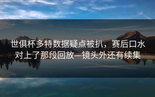 世俱杯多特数据疑点被扒，赛后口水对上了那段回放—镜头外还有续集