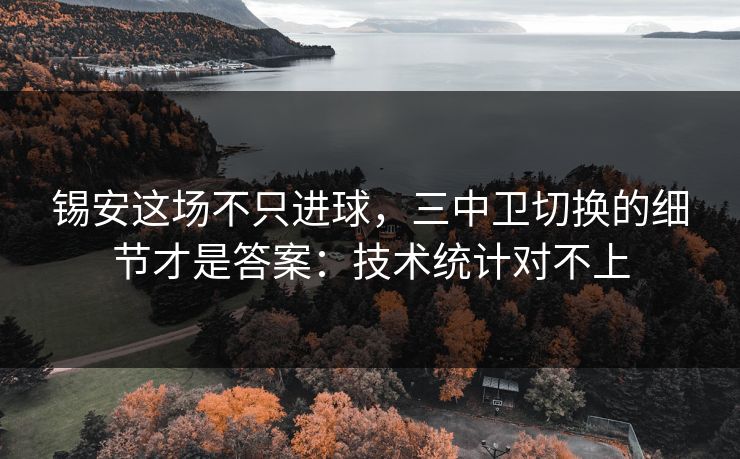锡安这场不只进球，三中卫切换的细节才是答案：技术统计对不上-第1张图片-开云体育平台官网 - 专业赛事首选