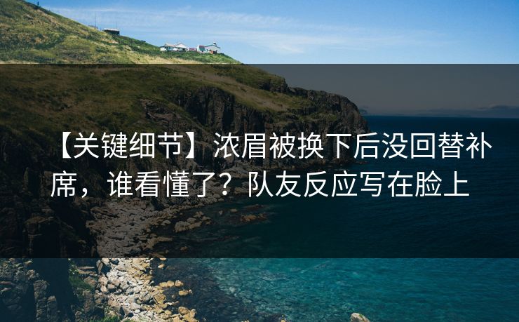 【关键细节】浓眉被换下后没回替补席，谁看懂了？队友反应写在脸上-第1张图片-开云体育平台官网 - 专业赛事首选